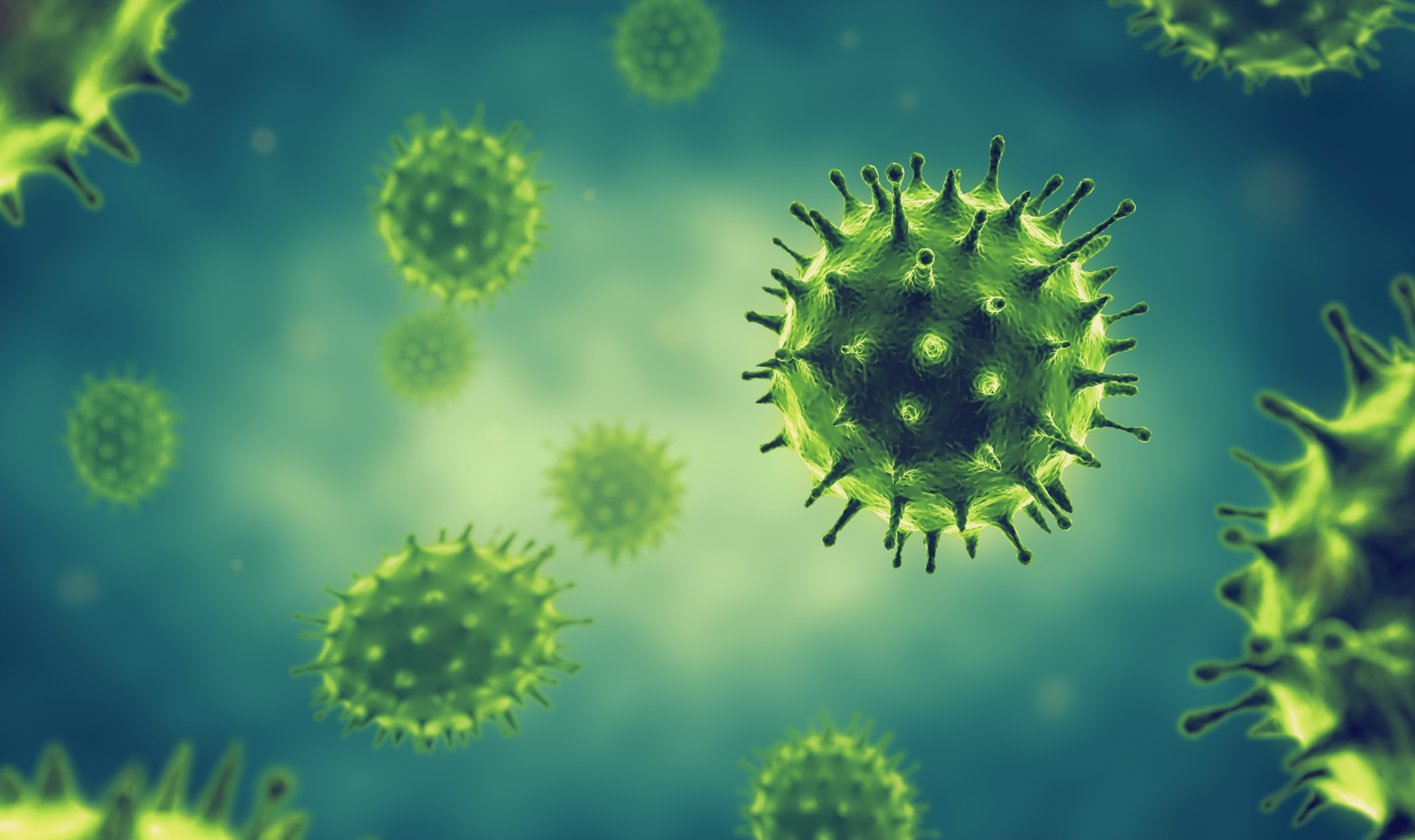 Informationen zum Umgang mit dem Coronavirus (SARS-CoV-2)