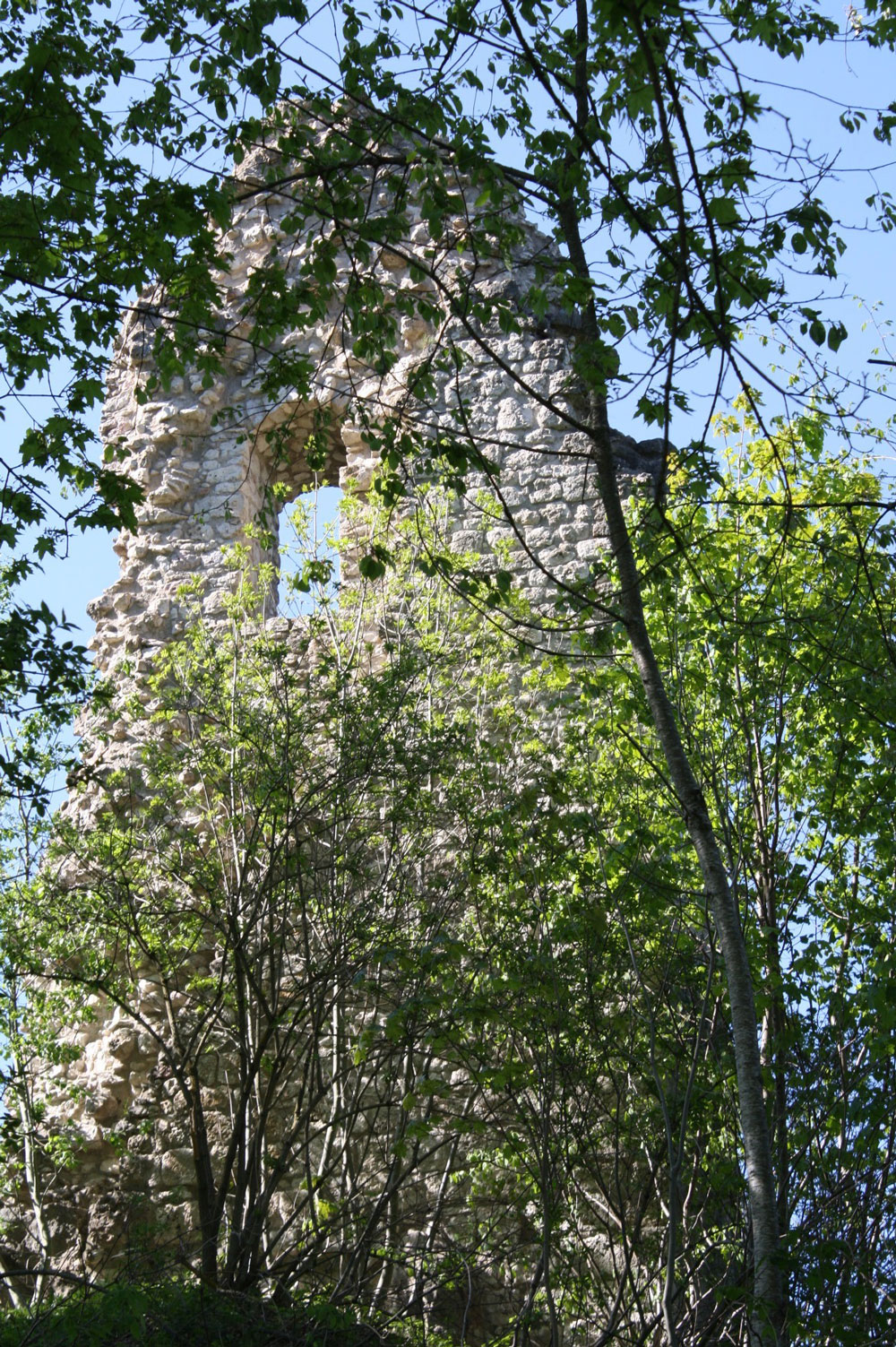 Burgruine Hohenstein