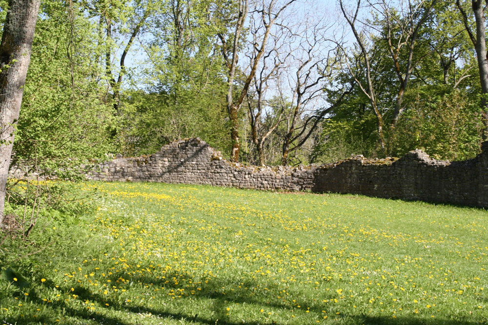 Innenhof Burgruine Hohenstein