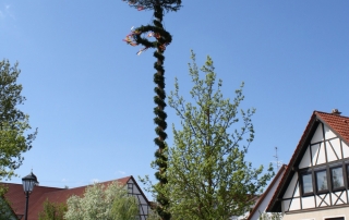 Maibaum