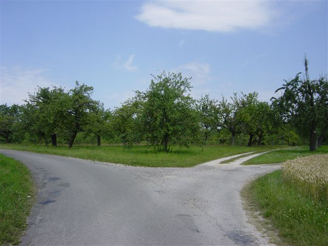 obstbauanlage